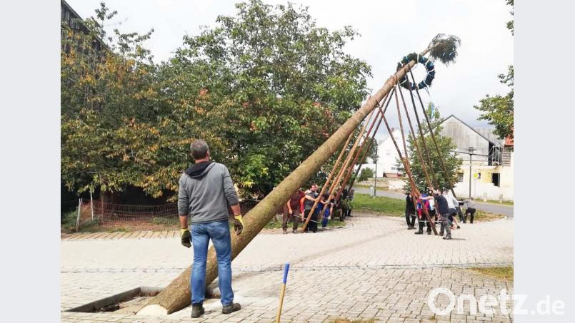 Hoch damit! Die Neuzirkendorfer geben nicht nach, bis der Baum endlich steht. Bild: ü