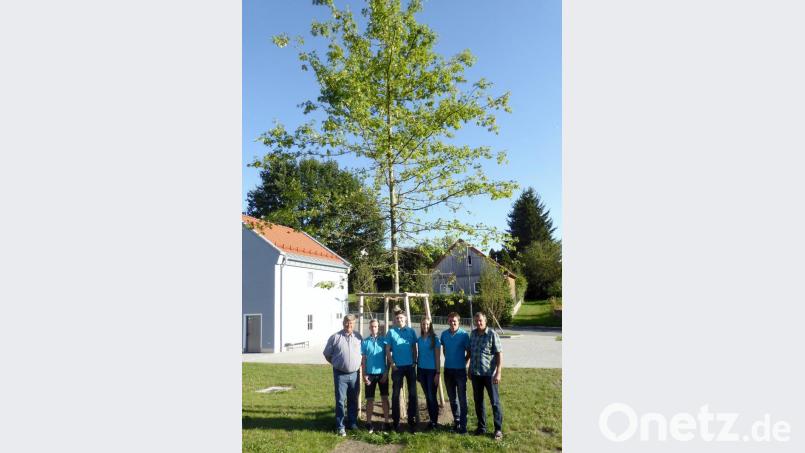 Die neue Sumpf-Eiche auf dem Dorfplatz wird vorgestellt von (von links) Bürgermeister Martin Schregelmann, den Kirwaleit-Vertretern Felix Herrmann, Maximilian Rösch, Denise Lindner und Thomas Beutner sowie zweitem Bürgermeister Hans Beutner. Bild: fsb