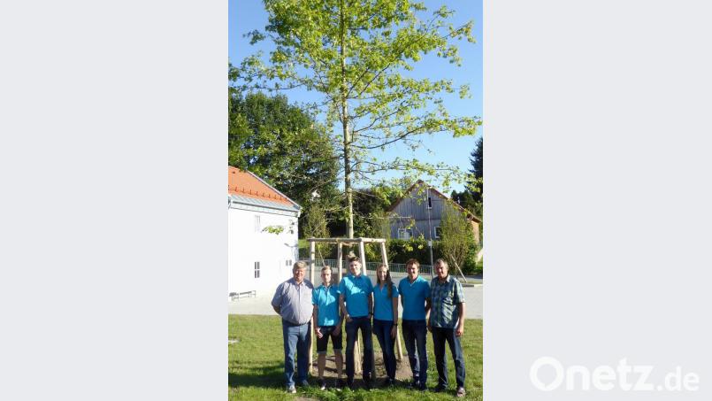 Die neue Sumpf-Eiche auf dem Dorfplatz wird vorgestellt von (von links) Bürgermeister Martin Schregelmann, den Kirwaleit-Vertretern Felix Herrmann, Maximilian Rösch, Denise Lindner und Thomas Beutner sowie zweitem Bürgermeister Hans Beutner. Bild: fsb