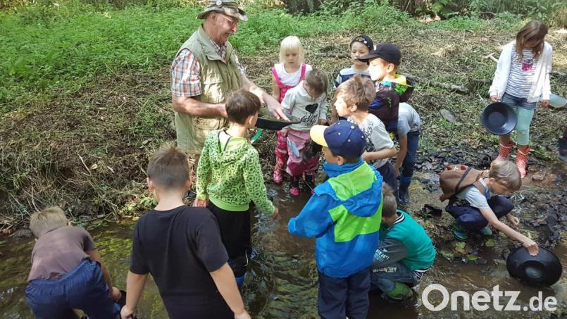 Unter der Leitung von Karl Ochantel waren die Kinder mit Begeisterung beim Goldwaschen am Tröbesbach. Bild: gi