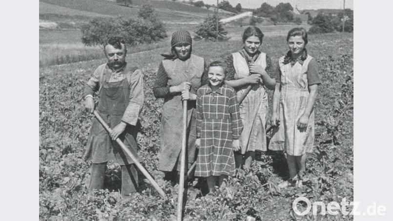 Diese Aufnahme entstand bei Streitbühl (Gemeinde Edelsfeld). Das „Ranner hauen“ war zwar sehr unbeliebt, aber alle Familienmitglieder mussten zusammenhelfen, um dem Unkraut Herr zu werden. Das Foto stammt aus dem „Eisengau“ Nr. 24/2005 „Bevor der Bulldog kam – vom Leben in einem Oberpfälzer Dorf“ von Karl Regler aus Edelsfeld. Bild: Sammlung Margarethe Ledwinsky, 1939/Archiv: Josef Schmaußer