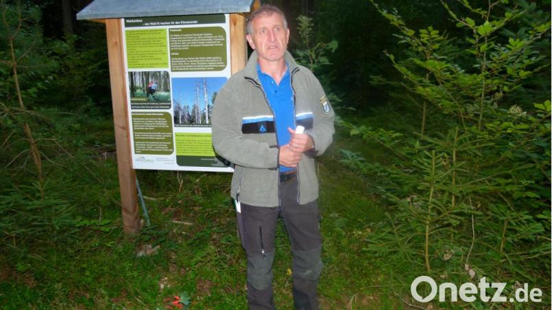 Förster Fritz Reichert führte die Besucher auf dem Waldlehrpfad und gab viele Informationen. Bild: bgl