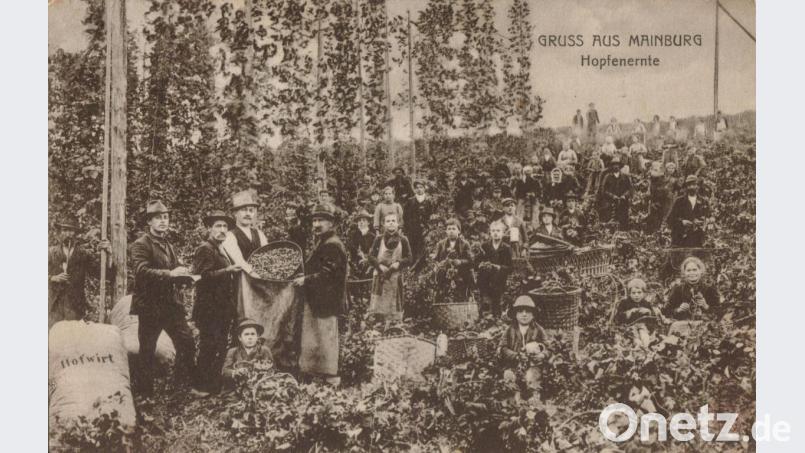 Gruß vom Hopfenzupfen in Mainburg: Im Jahr 1938 erreichte diese Postkarte die Familie Berger in Eigelsberg. Repro: bgl