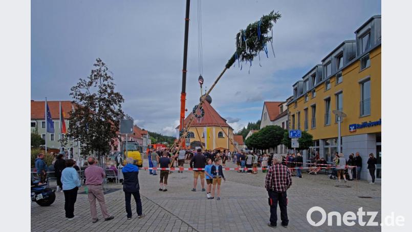 Den Kirwaburschen gelingt es wieder gekonnt den Kirwabaum aufzustellen. Bild: twi