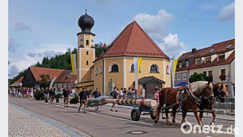 Der Kirwabaum wird wieder mit Georg Häglers Pferden im Kirwazug zum Marktplatz gebracht Bild: twi