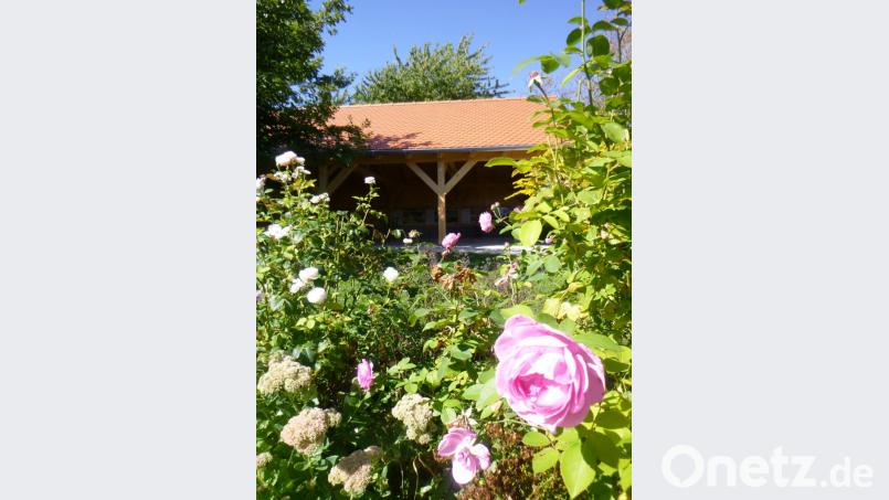 Die Infohütte im Kreislehrgarten bietet auch für Veranstaltungen Platz. Der genaue Termin für die Einweihung steht noch nicht fest Bild: tss