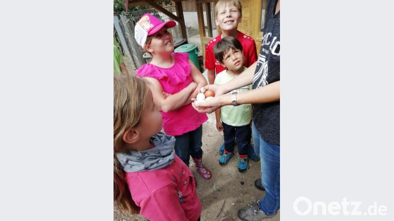 Von welchen Tieren stammen wohl die Eier? Bäuerin Antje Ziegler verriet es den Mädchen und Buben. Bild: hai