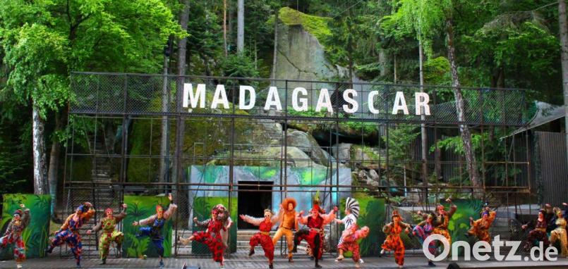 Das Familienmusical „Magadascar“ war der Publikumsrenner der abgelaufenen Luisenburg-Saison mit knapp 43 000 Besuchern. Bild: Holger Stiegler
