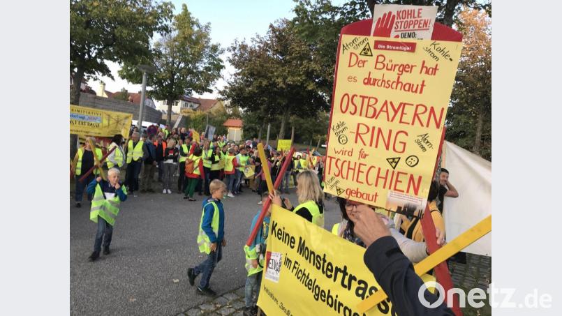 Aus ganz Nordbayern reisten die Demonstranten an, um in Neustadt ihrem Unmut Luft zu machen. Bild: Gabi Schönberger