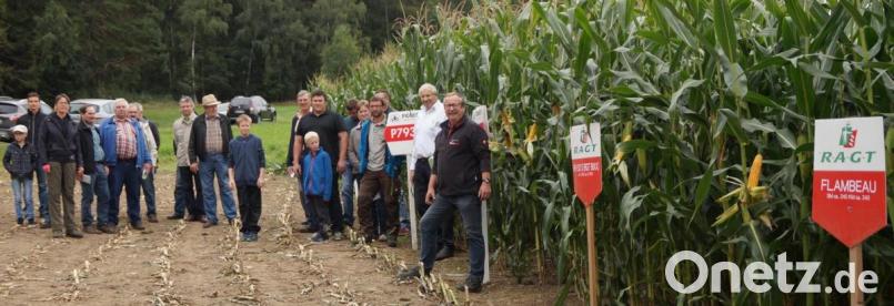 Eine große Menge an interessierten Landwirten wurde beim Maisfeldtag bei Neuhaus von den Firmenvertretern Konrad Werner (RAGT, rechts) und Josef Gschrey (Pioneer, Zweiter von rechts) über altbewährte und neue Sorten informiert. Bild: weu