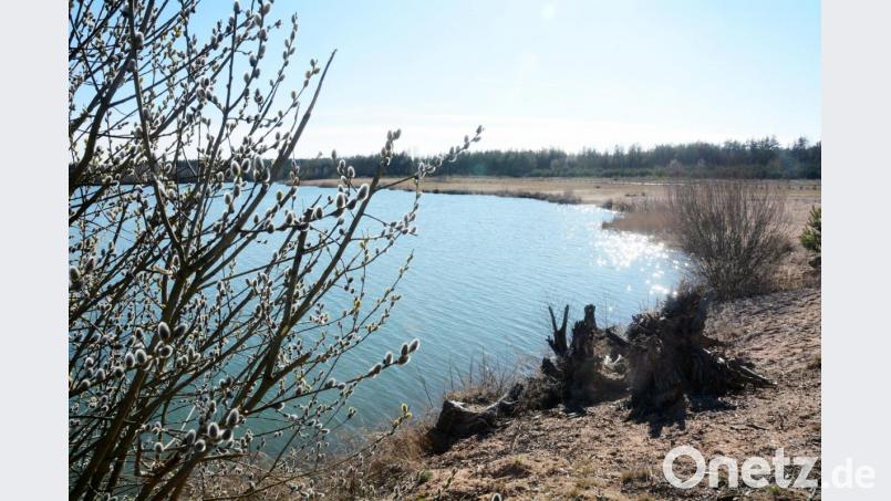 Der &quot;Freizeitsee Dießfurt&quot; ist landschaftlich reizvoll und als touristisches Leuchtturmprojekt geeignet. Der Landkreis unterstützt die Erstellung eines Nutzungskonzeptes. Bild: Gabi Schönberger