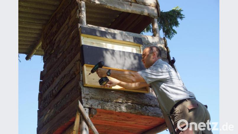Martin Pfistermeister aus Schwand bringt an einer Jagdkanzel den Unterschlupf für Fledermäuse an. Bild: mmj