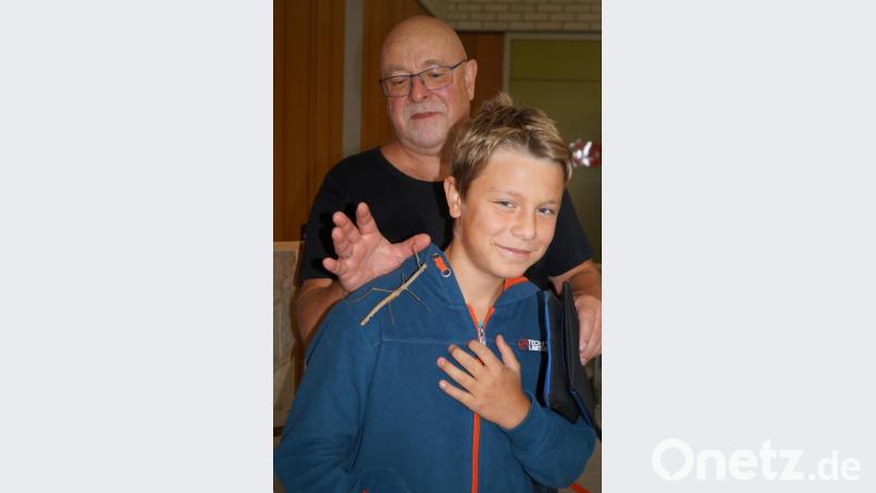 Eine lebende Riesenstabheuschreke aus Australien lässt der 13-jährige Tim Ströhle unter der schützenden Hand seines Vaters und Börsensekretärs Manfred Ströhle bei der Schau in Schirmitz über seine Schulter krabbeln. Bild: du