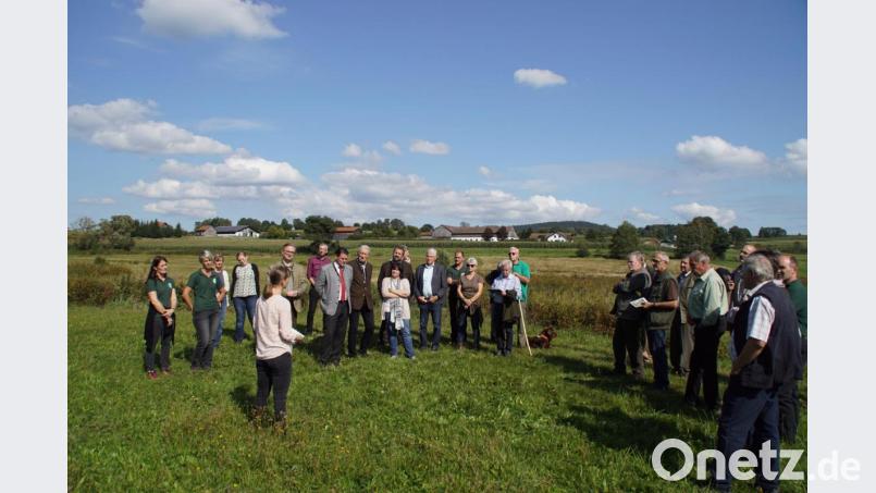 Groß war das Interesse der Ehrengäste an den Grundstücken, mit dem die Wildland-Stiftung den Biotopverbund im Schönseer Land erweiterte. Vor einer dieser Flächen erläuterte Gabriela Rossi (Vierte von links) von der Regierung der Oberpfalz die Ideen zur Machbarkeitsstudie "Grünes Band Oberpfalz". Bild: mmj