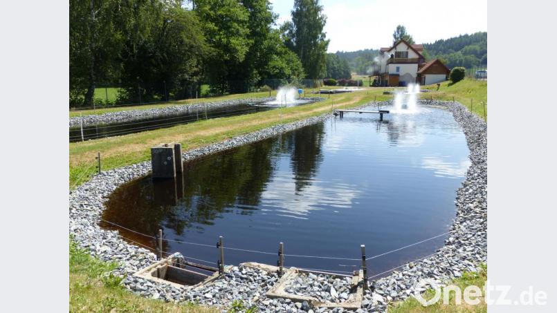 Idyllisch gelegen: Der Zuchtbetrieb Geisleithen bei Plößberg. Bild: cv