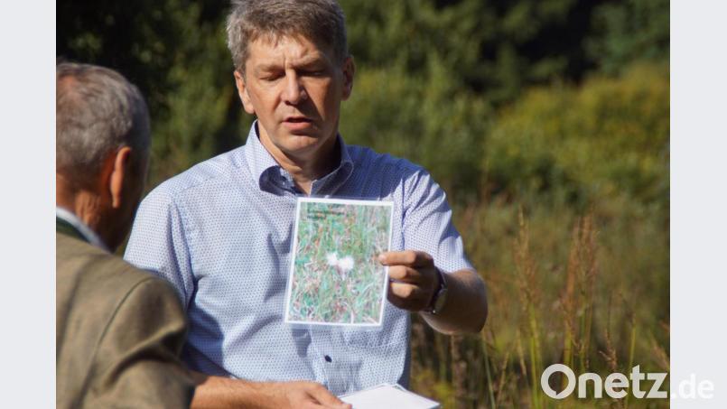 Mit Bildern, hier vom schmalblättrigen Wollgras, erläuterte Markus Kurz, Naturpark Oberpfälzer Wald, verschiedene Pflanzenarten in den Flächen der Biotope. Bild: mmj