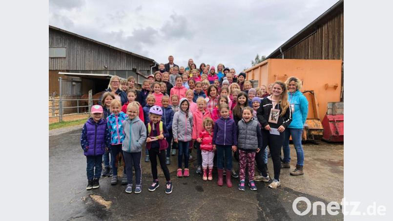 Ferienprogramm beim Reitverein. Bild: exb