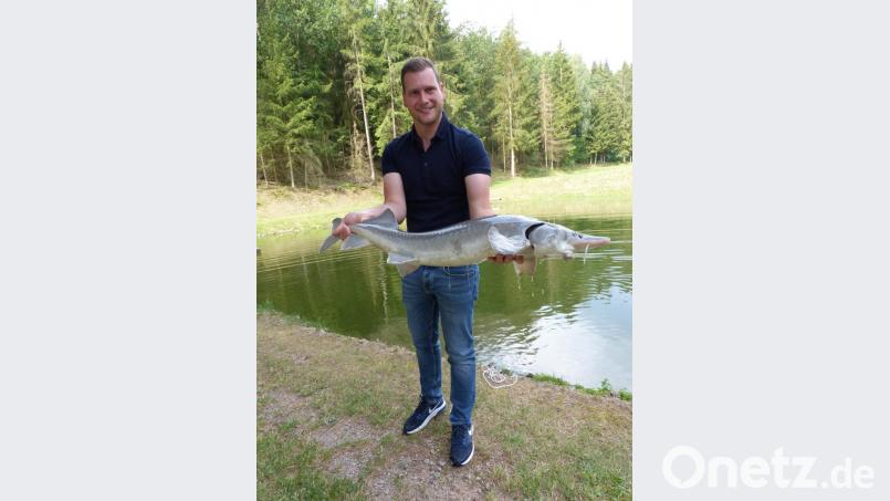 Michael Dobler züchtet Störe. Für die &quot;gewichtigen&quot; Fische in den Nabburger Teichen braucht man starke Arme. Bild: cv