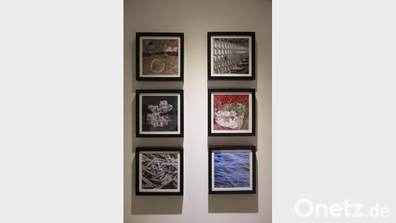 Diese sechs Bilder steuerte Markus Schramm zu der Ausstellung bei. Bild: kmo