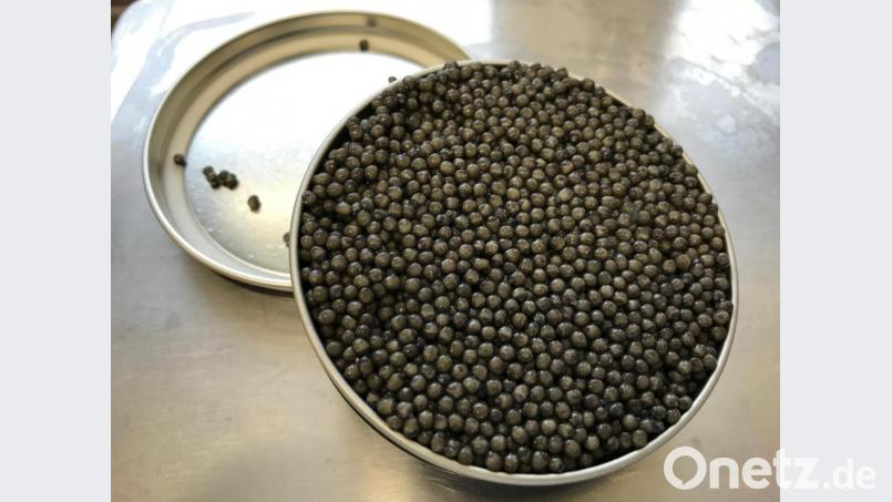 Feincremige Textur, milder Geschmack: Siberian Kaviar aus der Oberpfalz: Der Kilopreis liegt bei rund 1000 Euro. Bild: exb