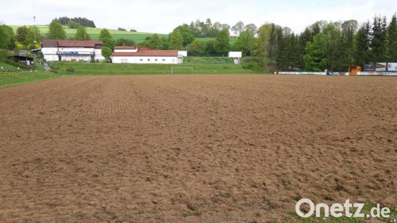 Der A-Platz der SpVgg Windischeschenbach gleicht eine Zeitlang einem Kartoffelacker. Bild: exb