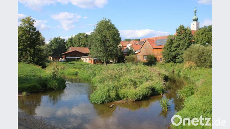 Das Grundstück von Johann Schiffmann ist regelmäßig vom Hochwasser betroffen. Er wünscht sich ein Ausbaggern der Haidenaab. Bild: sne