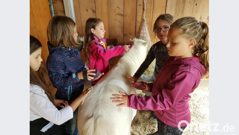 Ferienprogramm Reitverein. Bild: exb