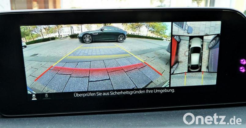 Rückfahrkamera und 360-Grad-Birdview erleichtern die Rundumsicht. Bild: bz
