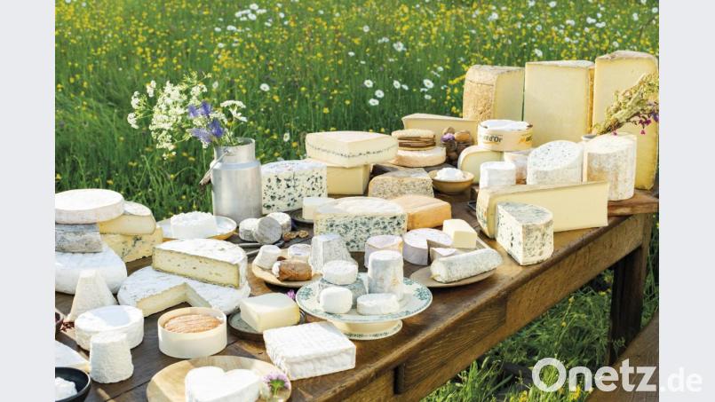 Käse aus Frankreich - Symbolbild Bild: Niederländischer Milchverband f/Niederländischer Milchverband fü/obs