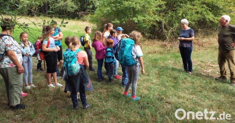Lehrreich und unterhaltsam: das Ferienprogramm der AOVE führt durch den Wald. Bild: e