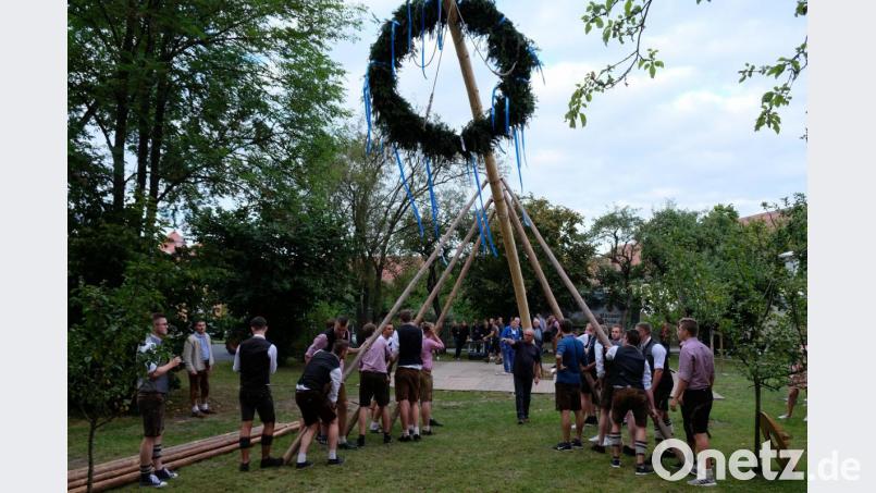 Mit reiner Muskelkraft bewältigen die Kirchweihburschen mit Unterstützung der Experten Georg und Sebastian Müller das Aufstellen des 24 Meter langen Kirwabaumes. Bild: do