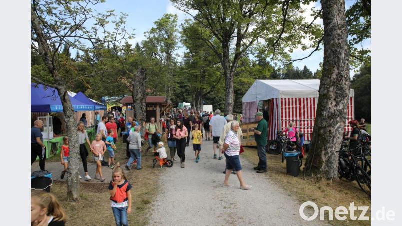 Waldhausfest Steinwald-Allianz Bild: njn