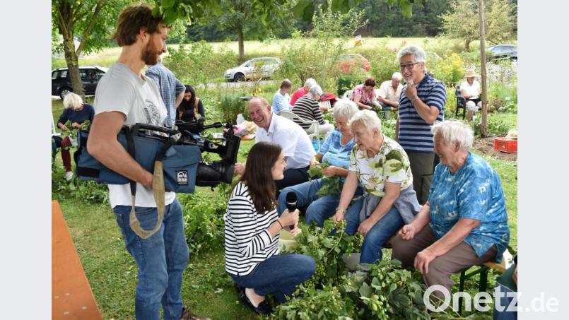 Ein Fernsehteam von OTV fertigte einen ausführlichen Bericht über das Illschwanger Hopfenzupfen. Bild: no