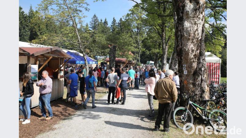 Waldhausfest Steinwald-Allianz Bild: njn