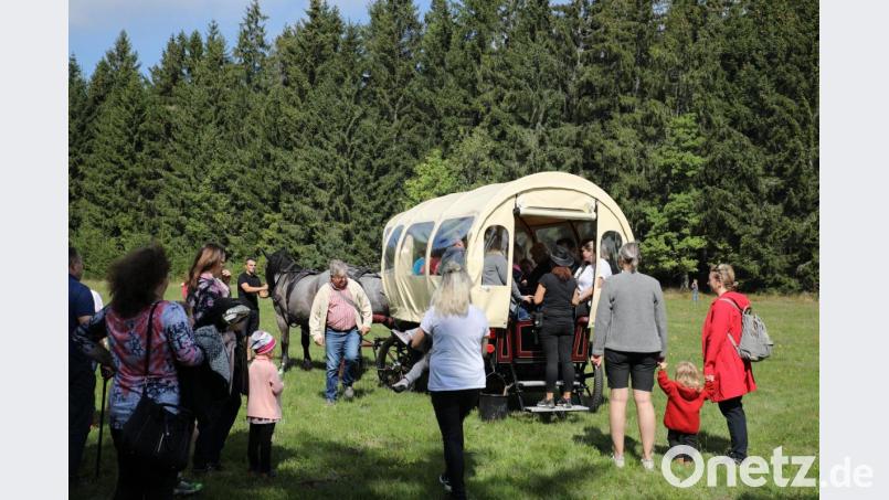 Kutschfahrten durch den Steinwald. Bild: njn