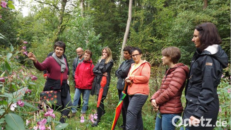 Im sagenumwobenen Tal der vergangenen Kronmühle zeigt Ulrike Gschwendtner (links) den Teilnehmern das Springkraut und andere essbare Wildkräuter. Bild: trj