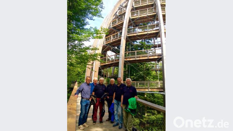 Vom 44 Meter hohen Gipfel des Aussichtsturms am Baumwipfelpfad im Nationalpark Bayerischer Wald werden die Irchenriether RC&#039;ler bei herrlichem Wetter mit einem einzigartigen Ausblick belohnt. Bild: grm