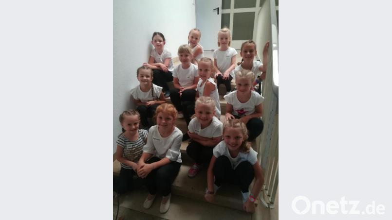 Gemeinsam mit dem Pressather Faschingsverein haben die Mädchen erste Tanzschritte gelernt. Stolz präsentieren sie den Besuchern nun die einstudierte Choreografie. Bild: sne