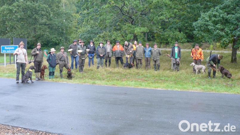 Sieben Gespanne stellten sich im Hessenreuther Wald erfolgreich des Brauchbarkeitsprüfung für Jagdhunde. Hinter den Teilnehmern lagen 15 Schulungstermine bei der Kreisgruppe Kemnath im Bayerischen Jagdverband. Bild: hrö