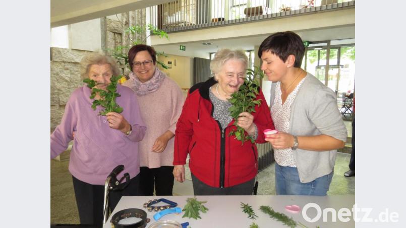 Im Haus &quot;Mühlbühl&quot; lassen Rosita Reichl, stellvertretende Pflegedienstleiterin (2 v. li.) und die Pflegedienstleiterin Kerstin Mois (re.) die beiden seniorinnen Romana Spada (li.) und Theresia Mark (2 v. re.) an Kräutern riechen. Bild: ubb