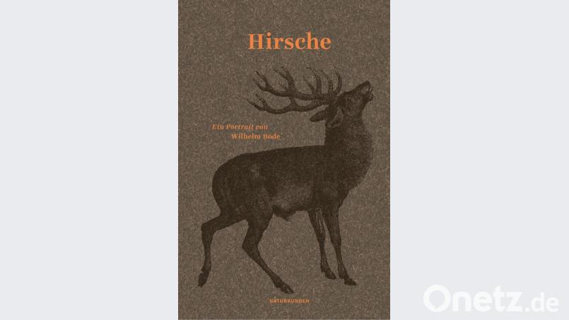 Buchcover Bild: Matthes &amp; Seitz Berlin