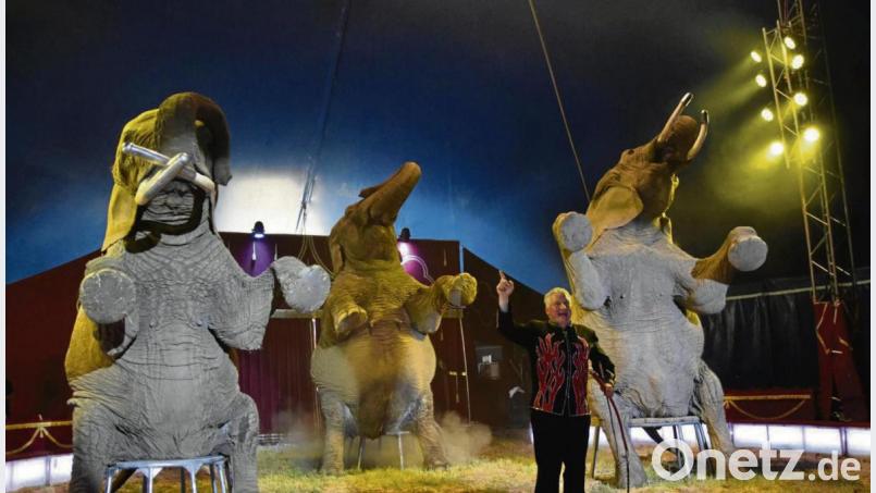 Trotz der Querelen im Vorfeld hieß es in Vohenstrauß und Kemnath für den Circus Afrika „Manege frei“. Tierschützer kritisieren das Familienunternehmen vor allem wegen der Haltung seiner Elefanten, die nicht artgerecht sei. Auch für die Amberger Congress Marketing spielte die „schlechte Presse“ eine Rolle bei der Absage des gewünschten Gastspieltermins. Die ablehnende Entscheidung wurde zwar vom Verwaltungsgericht kassiert, der Zirkus kam dann aber trotzdem nicht auf den Dultplatz. Bild: pmen