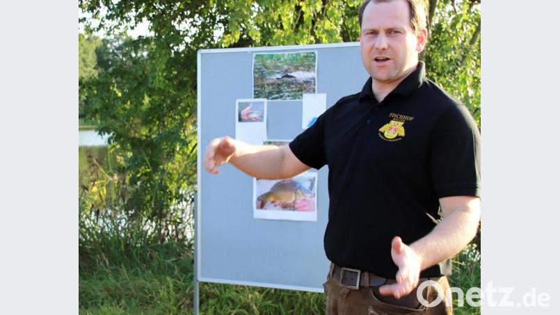 Fischwirt Marco Mulzer erläuterte beim Rundgang auf der Teichanlage seines Betriebs die Grundlagen der aufwendigen Karpfenzucht. Bild: exb