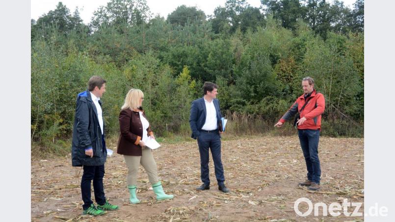 Aufforstungen werden schneller zu Wald als viele meinen. Wolfgang Winter, Leiter der Forstabteilung (von rechts), erläuterte Baudezernent Oliver Seidel, Kämmerin Cornelia Taubmann und Wirtschaftsförderer Nicolas Lahovnik die Entwicklung auf Grundstücken im Bereich des Wasserwerks. Ackerland, dahinter etwa achtjähriger Bestand und dahinter wiederum 13-jährige Bäume (Linden Eichen, etwas Tanne), die bereits als Wald gelten. Bild: Gabi Schönberger