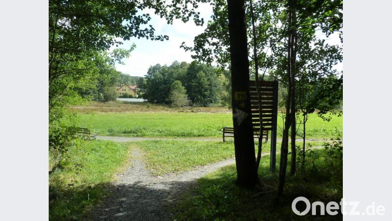 Auf dieser Wiese an der Dietersdorfer Straße ist das Seniorenzentrum &quot;Alte Säge&quot; geplant. Im Hintergrund der Festplatz an der Böhmerwaldstraße. Bild: Portner
