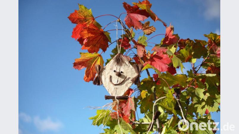 Konzentrieren Sie sich auf die schönen Seiten des Herbstes. Bild: pixelunikat – stock.adobe.com