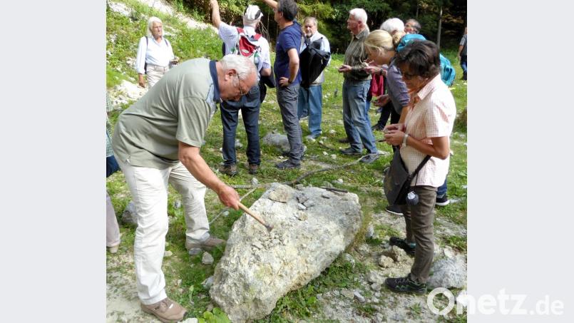 Exkursion im Steinbruch „Alte Bürg“. Bild: Schönberger, Ferdinand [fsb]