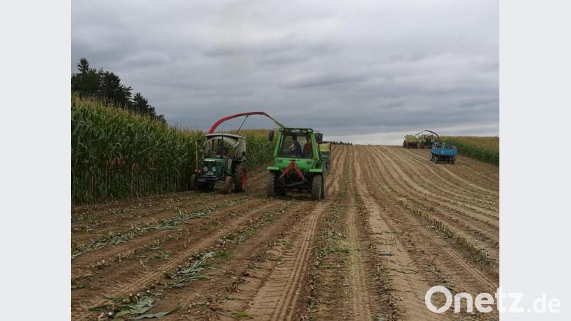 Die Feilersdorfer Oldtimerjugend rückt dem Maisfeld mit robusten Landmaschinen zu Leibe. Bild: bjp