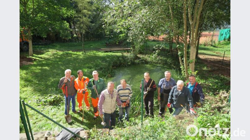 Der Vorsitzende des Obst- und Gartenbauvereins, Josef Häckl (Dritter von rechts), und einige freiwilligen Helfer haben den Schulteich umzäunt. Bild: jzk