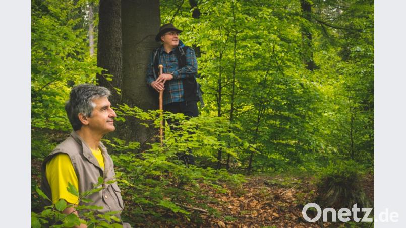 Michael Schneider (hinten) und Thomas Zernak führen kleine Gruppen auf stille Pfade zum Erlebnis &quot;Waldbaden&quot; Bild: ubb